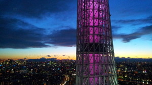 Dynamic view of Skytree